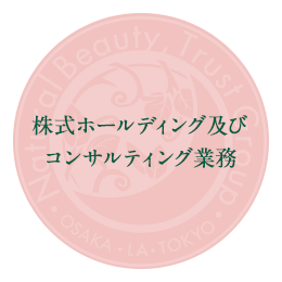 株式ホールディング及びコンサルティング業務