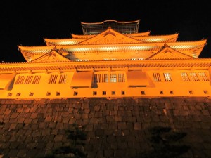 IMG_1342